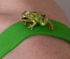A sweet 18k gold frog brooch with green enamel and diamond eyes, signed, numbered and dated: Van Cleef and Arpels, B4397.750 France, 1965 with the master mark Ste. J. for Atelier Janca.Weight: 13.4 gramsDimensions: 36 mm