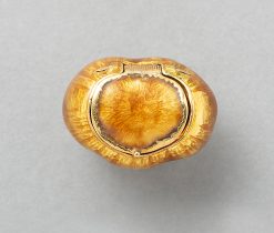 Gucci hazelnut pill box