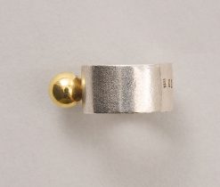 silver and gold ring