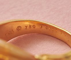 vca ring